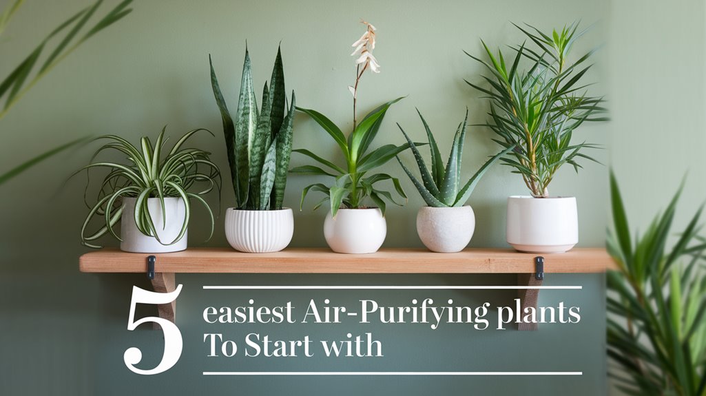 easy air purifying plants guide